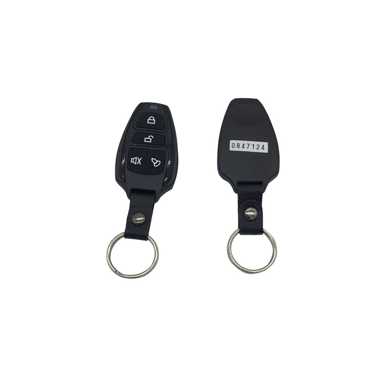 my horn beeps when i put the key in the ignition - the best car alarm
